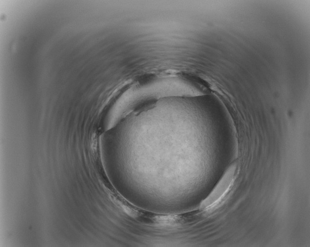 X0000067510192200604101305