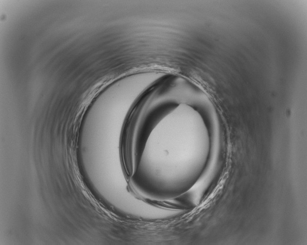 X0000067510193200604101304