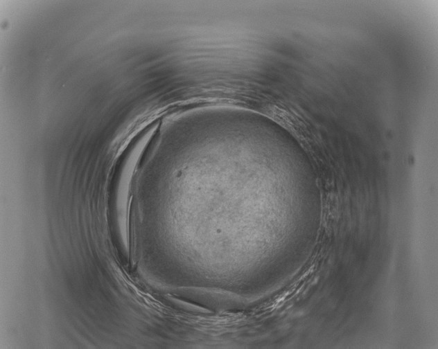 X0000067510194200604101304