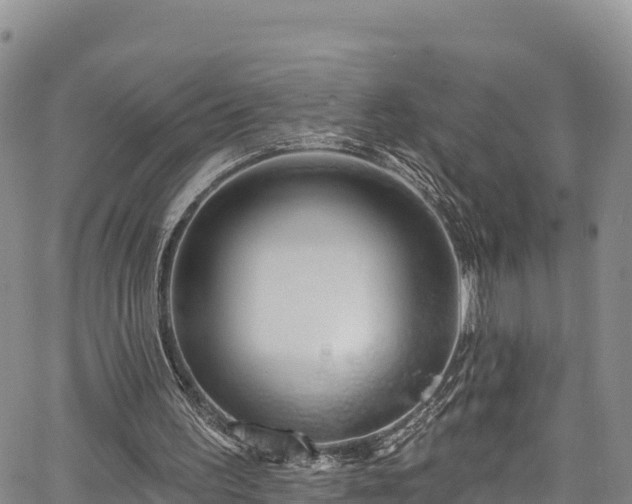 X0000067510195200604101304