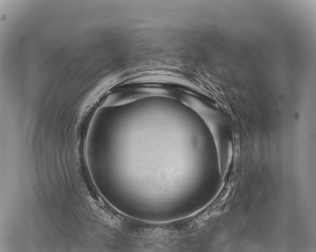 X0000067510197200604101304