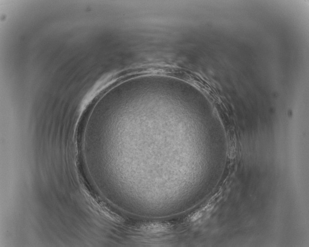 X0000067510198200604101304