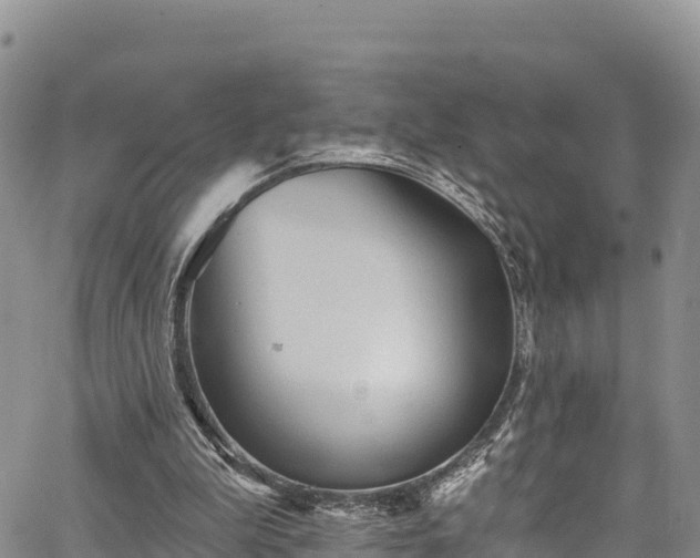 X0000067510199200604101304