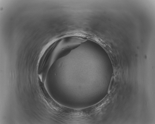 X0000067510200200604101304