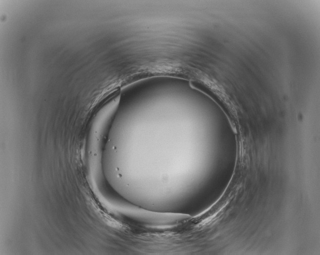 X0000067510201200604101304