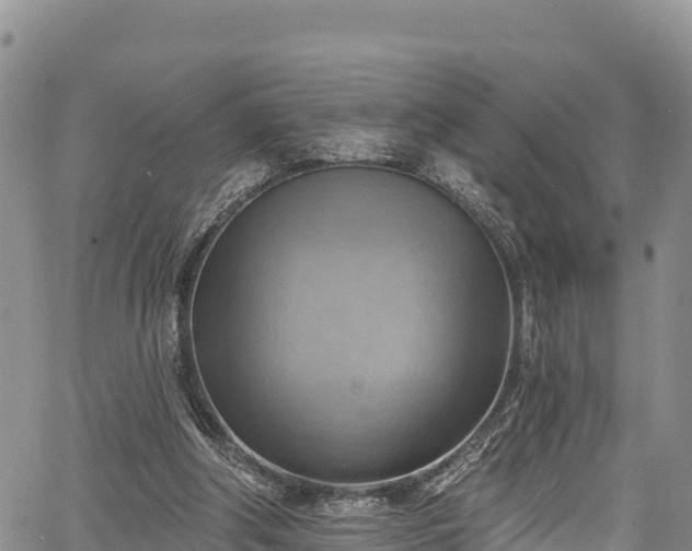 X0000067510202200604101304