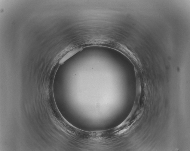 X0000067510203200604101304