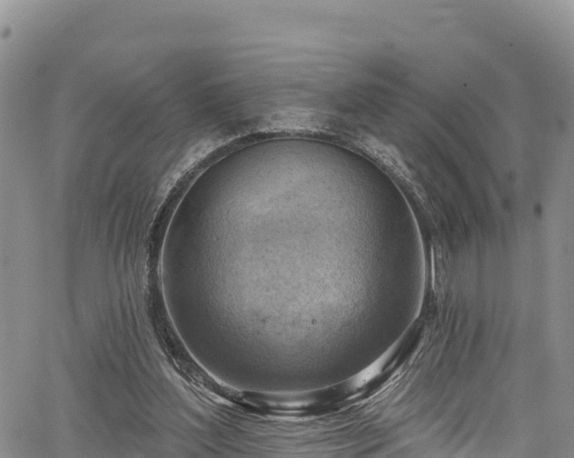 X0000067510204200604101304