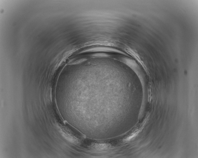 X0000067510205200604101304