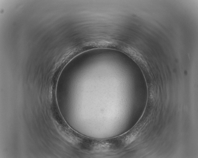 X0000067510206200604101304