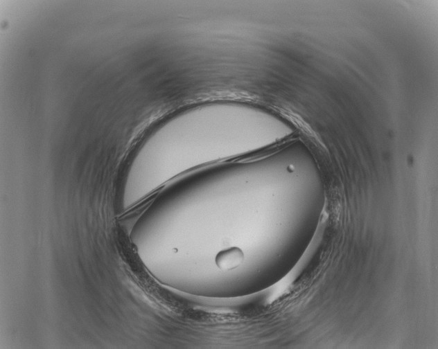 X0000067510207200604101304