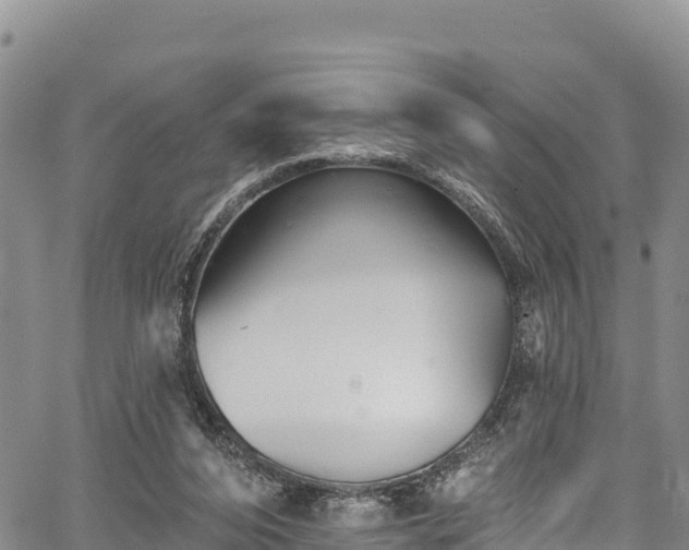 X0000067510208200604101304