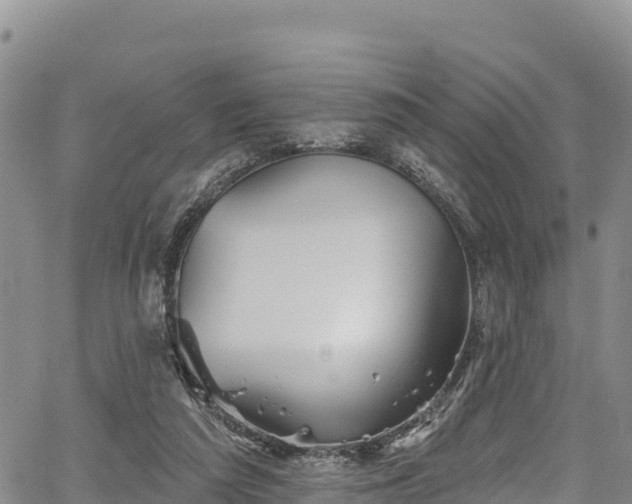 X0000067510209200604101304