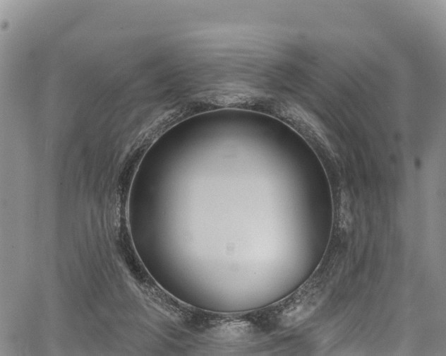 X0000067510210200604101304