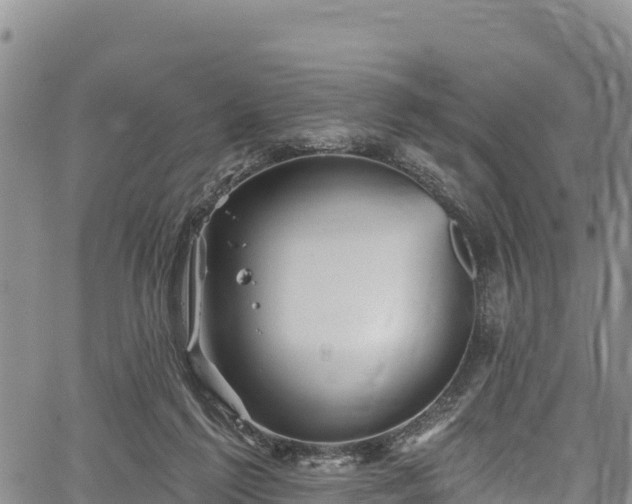 X0000067510213200604101304