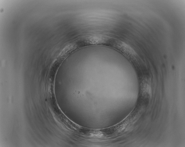 X0000067510214200604101304