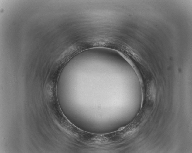 X0000067510215200604101304