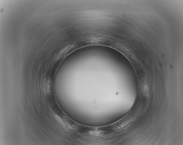 X0000067510216200604101304