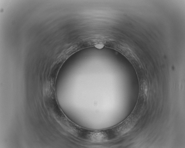 X0000067510218200604101304