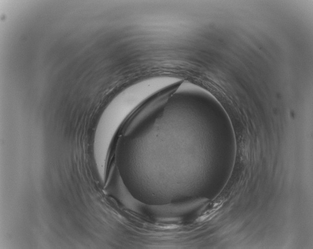 X0000067510219200604101304