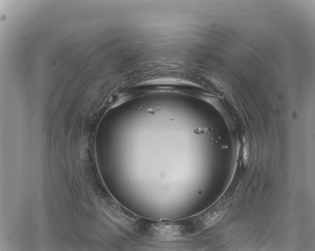 X0000067510221200604101304