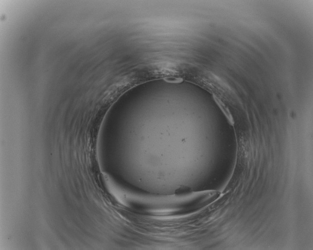 X0000067510223200604101304