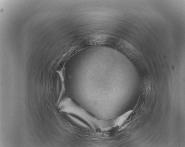 X0000067510224200604101304