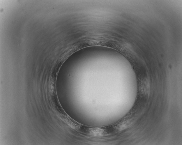 X0000067510226200604101304