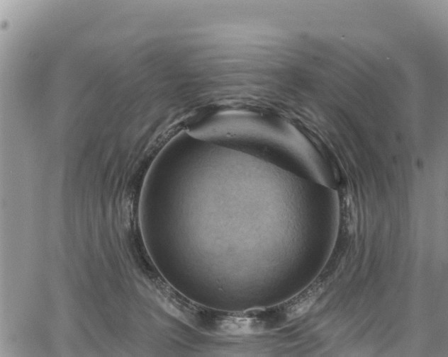 X0000067510227200604101304