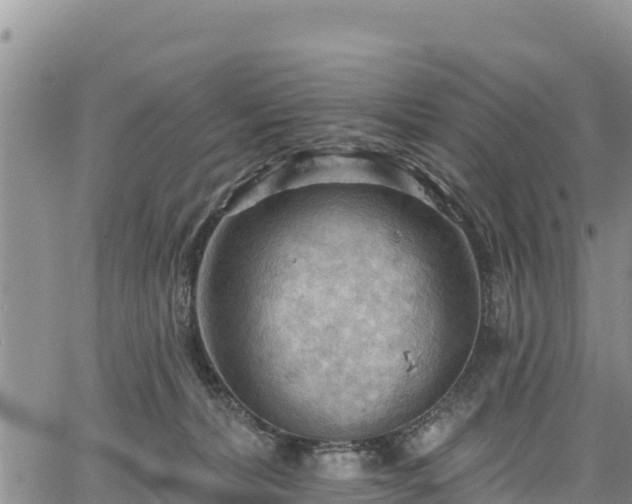 X0000067510228200604101303