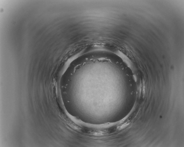 X0000067510229200604101303