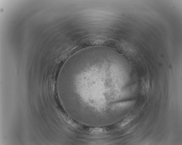 X0000067510230200604101303