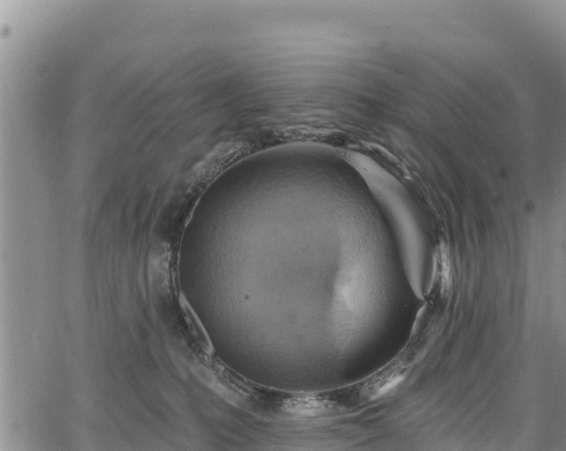 X0000067510231200604101303