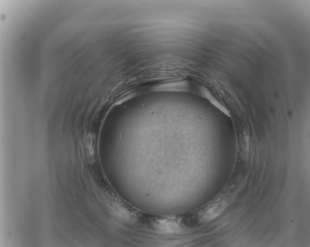 X0000067510232200604101303