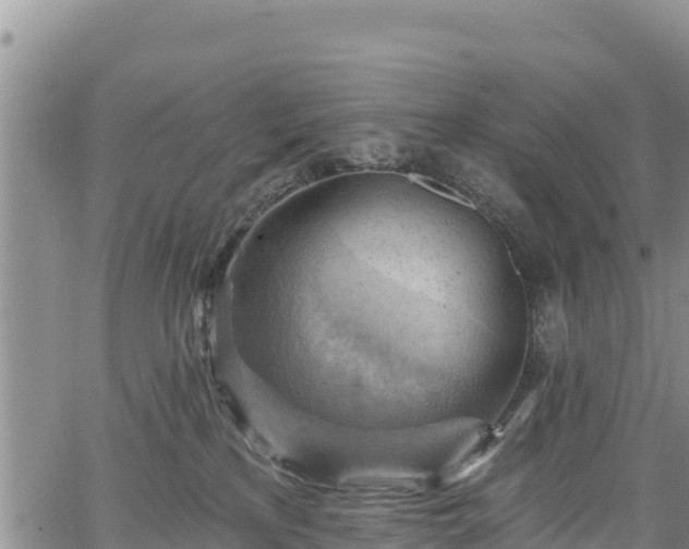 X0000067510233200604101303