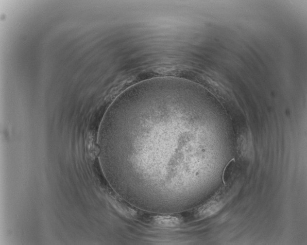 X0000067510234200604101303