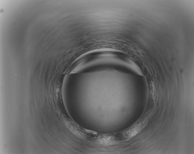 X0000067510235200604101303