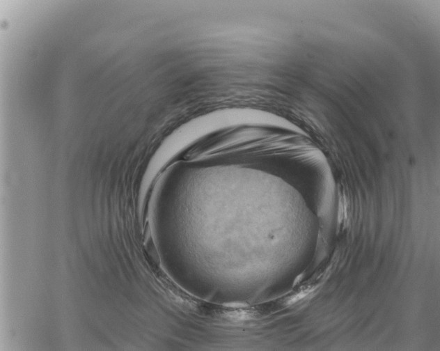 X0000067510237200604101303