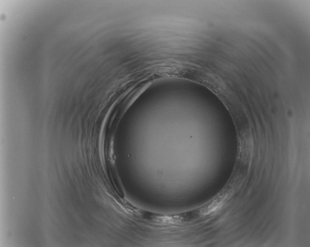 X0000067510239200604101303