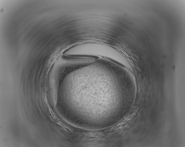 X0000067510241200604101302