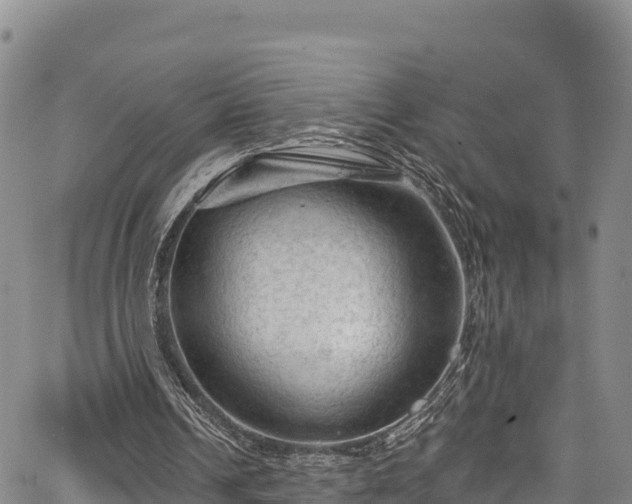 X0000067510242200604101302