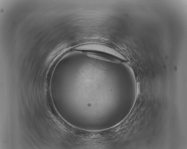 X0000067510243200604101303