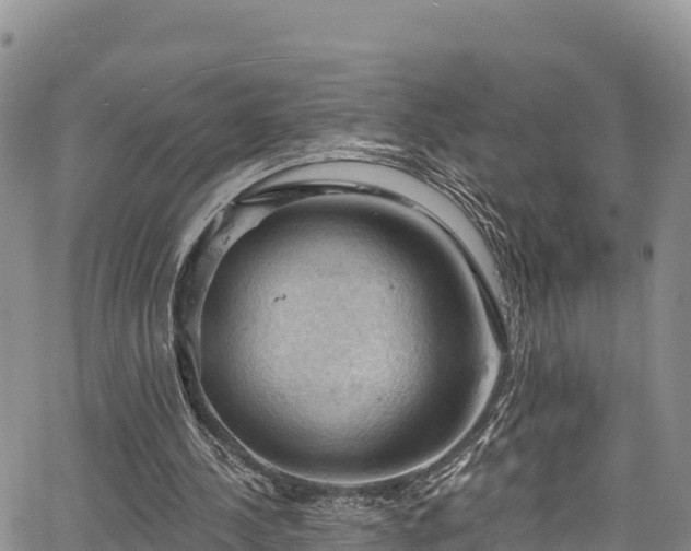 X0000067510244200604101303