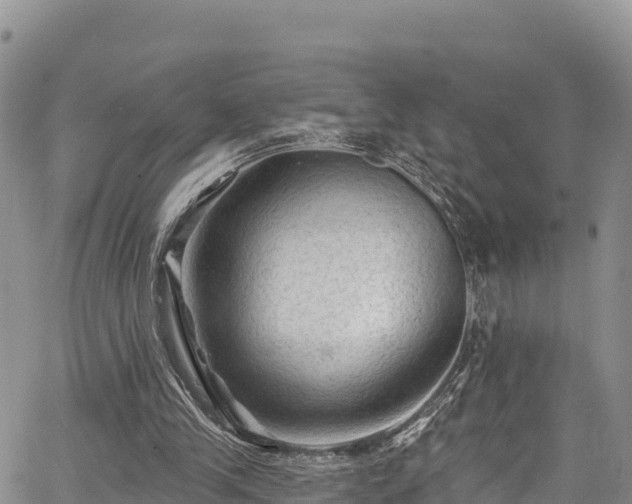 X0000067510245200604101303