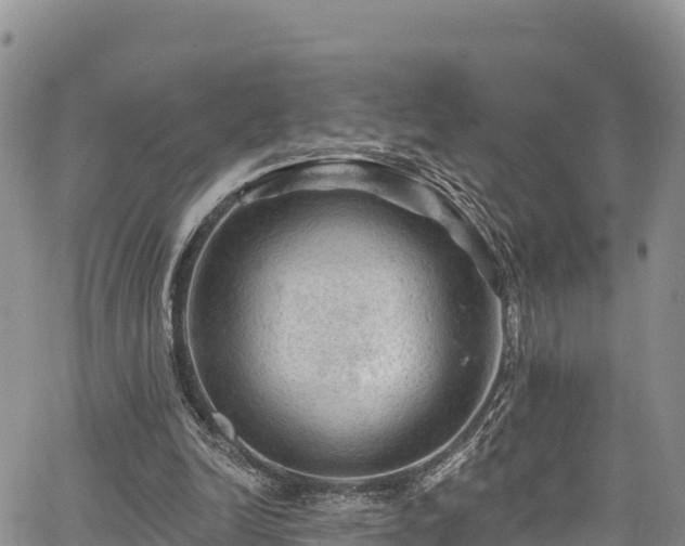 X0000067510246200604101303