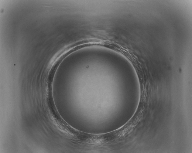 X0000067510247200604101303