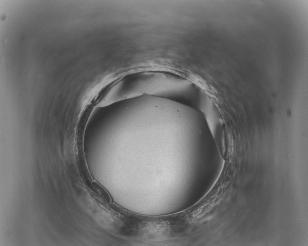 X0000067510248200604101303