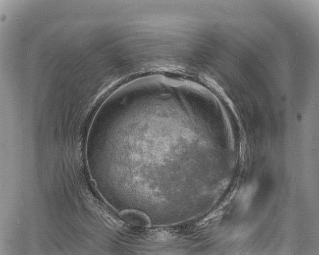 X0000067510249200604101303