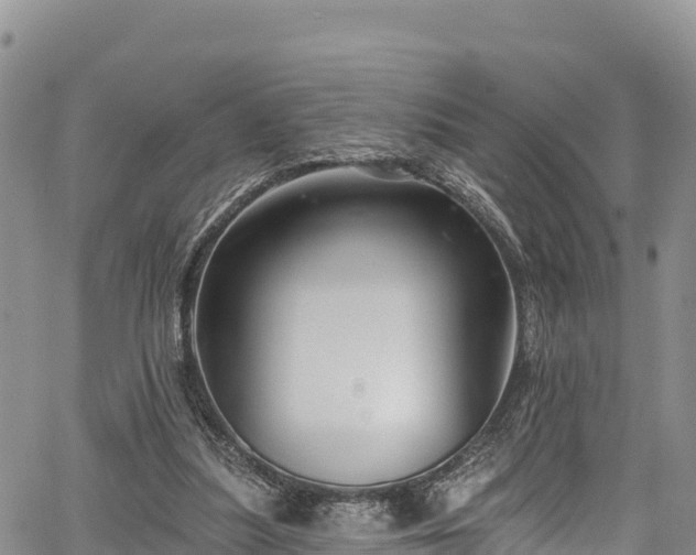 X0000067510251200604101303