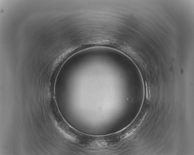 X0000067510252200604101303